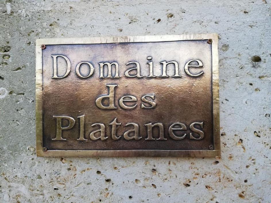 Le Domaine Des Platanes Bed & Breakfast Bourg-Charente Exterior photo