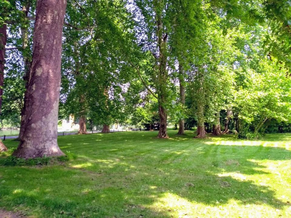 Le Domaine Des Platanes Bed & Breakfast Bourg-Charente Exterior photo